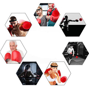 BOXING FIGHT BALL REFLEX - TBMSports