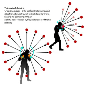 BOXING FIGHT BALL REFLEX - TBMSports